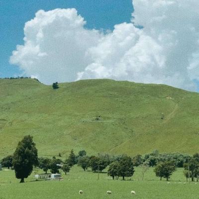 射箭打靶无敌版